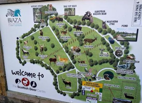 united-kingdom/dundee/attraction/the-scottish-deer-centre