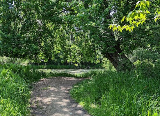 wisconsin/southeast-wisconsin/attraction/bubolz-nature-preserve