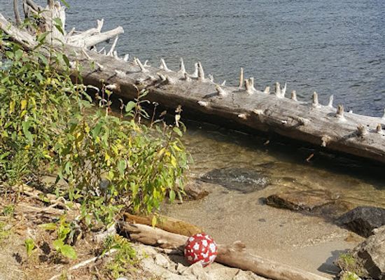 idaho/ponderosa-state-park/attraction/davis-beach