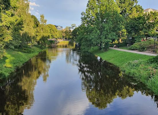 latvia/riga-bay/attraction/cat-house