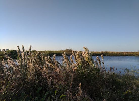 texas/gulf-coast/attraction/artist-boat-coastal-heritage-preserve