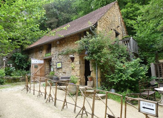 france/dordogne-valley/attraction/zoological-reserve-calviac