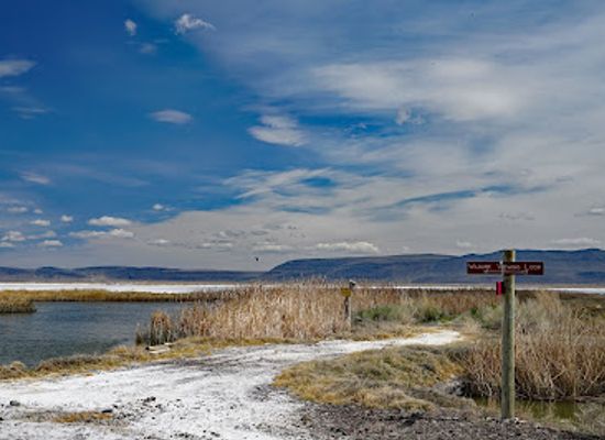 oregon/lake-county/attraction/summer-lake-wildlife-area