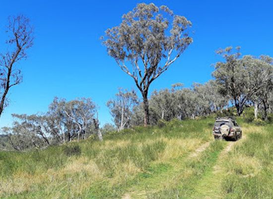 australia/central-west/attraction/central-west-4wd-park