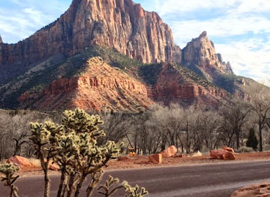 utah/zion-national-park/attraction/zion-nature-center