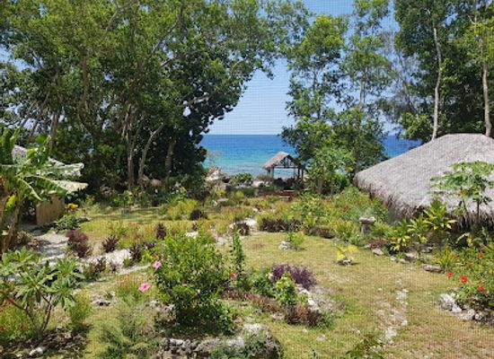 vanuatu/shefa-province/attraction/roawia-turtle-and-snorkelling-tours-vanuatu