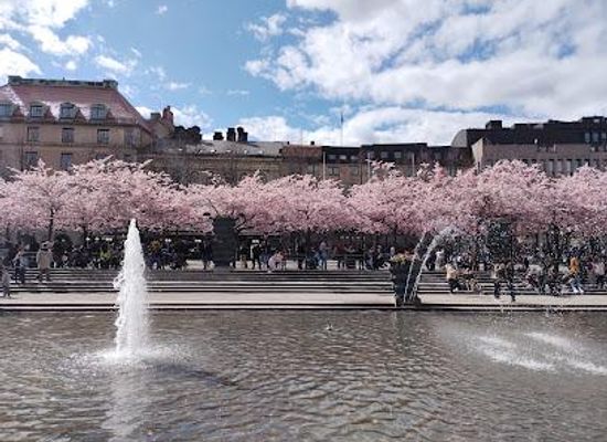 sweden/stockholm/attraction/kungstradgarden