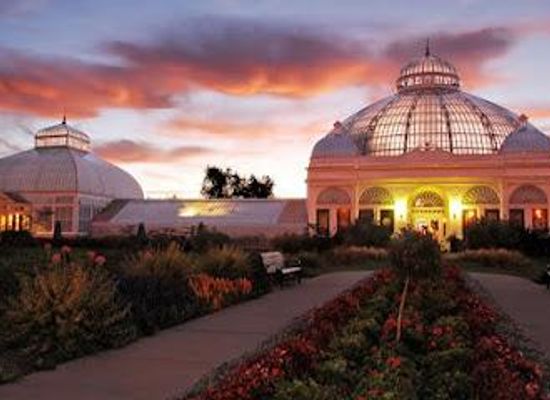 canada/niagara-peninsula/attraction/buffalo-and-erie-county-botanical-gardens