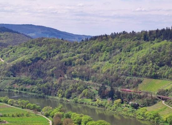 germany/rhineland/attraction/prinzenkopf-observation-tower