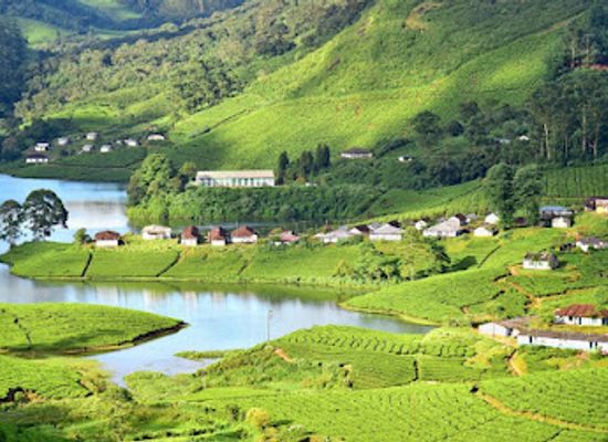 india/kerala/attraction/munnar-tourist-places