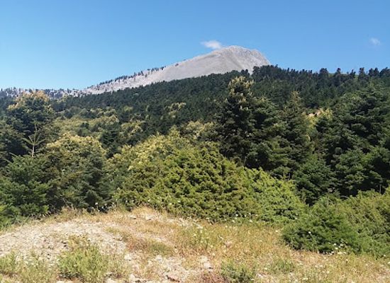 greece/euboea/attraction/view-to-dirfi