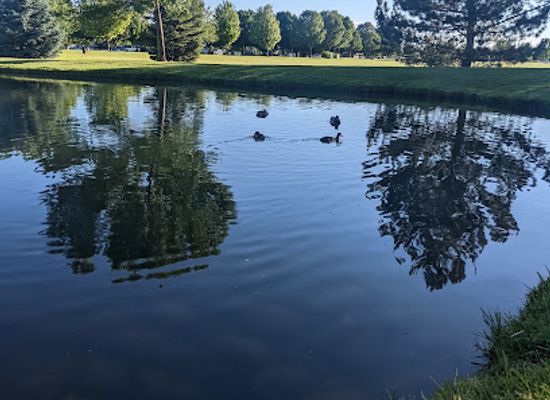 idaho/treasure-valley/attraction/settlers-park