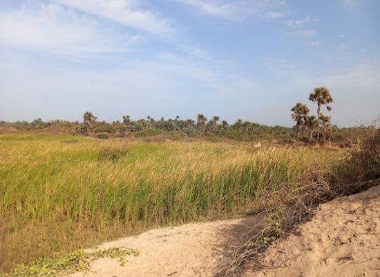 the-gambia/kanifing/attraction/beach