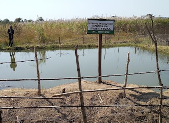 zambia/eastern-province/attraction/musaope-akumbuseni-gardens