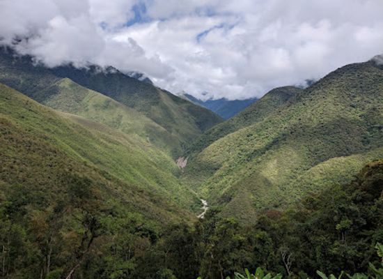 bolivia/yungas/attraction/el-choro-trek