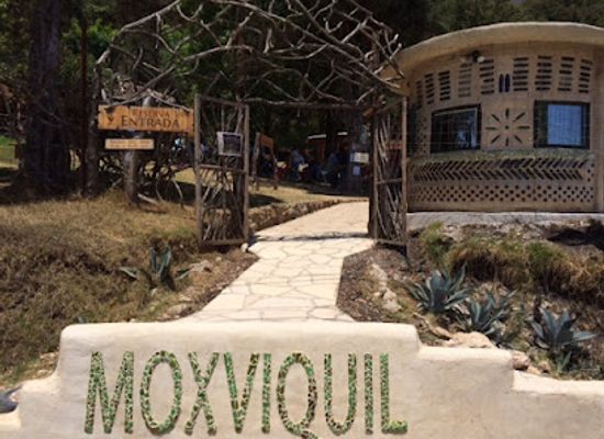 mexico/san-cristobal-de-las-casas/attraction/reserva-ecologica-y-jardin-de-orquideas-moxviquil