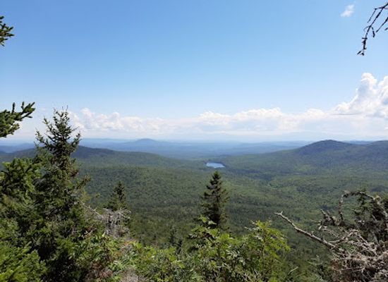 vermont/washington-county/attraction/lr-jones-state-forest