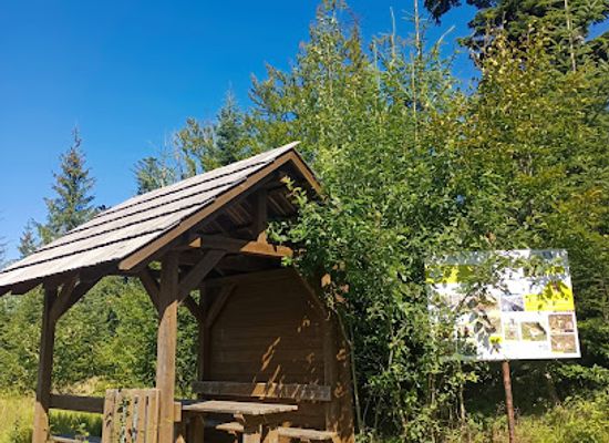 poland/silesian-beskids/attraction/wiata-na-odpoczynek