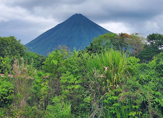 costa-rica/la-fortuna-waterfall/attraction/wood-art-gallery