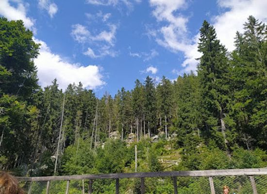 czechia/sumava/attraction/vlci-vybeh-srni-podivani-zvenku
