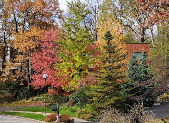 michigan/ann-arbor/attraction/narrow-gauge-way-park