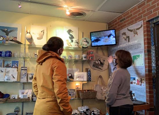 maine/lincoln-county/attraction/project-puffin-visitor-center