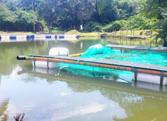 cameroon/douala/bassa/attraction/vitafish-douala
