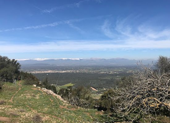spain/mallorca/attraction/estatua-de-ramon-llull