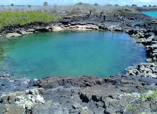 ecuador/galapagos-islands/attraction/galapaguera-de-cerro-colorado