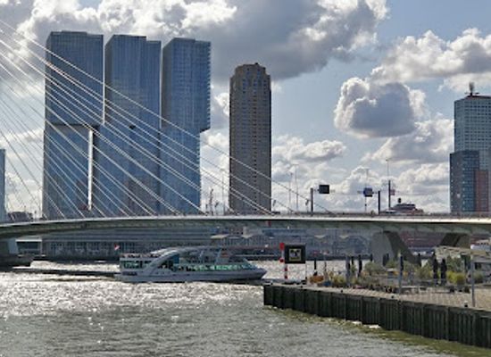 netherlands/rotterdam/kop-van-zuid/attraction/erasmusbrug