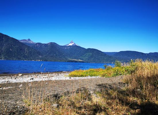 chile/patagonia/attraction/parque-nacional-puyehue