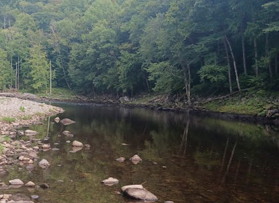 massachusetts/mohawk-trail-state-forest/attraction/fife-brook-boating-access-put-in