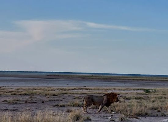 namibia/oshikoto/attraction/anderson-gate-etosha-national-park-southern-entrance