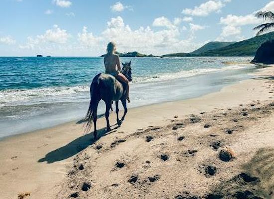 saint-lucia/gros-islet-quarter/attraction/sandy-hoofs-st-lucia