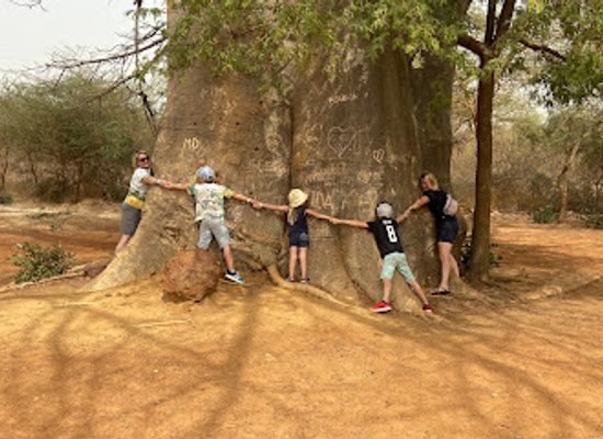 senegal/fatick/attraction/entrance-to-the-reserve-of-bandia