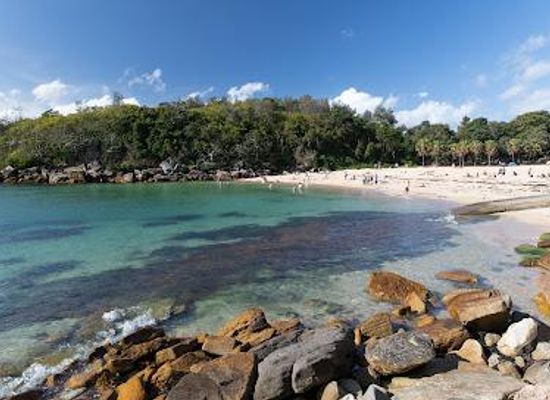 australia/sydney-basin/attraction/shelly-beach