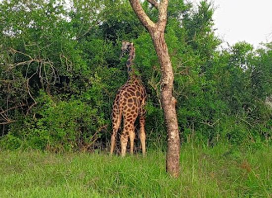 uganda/ankole/attraction/explore-beautiful-katwe