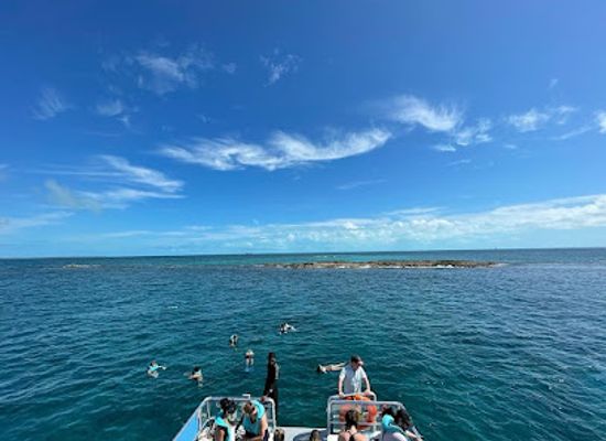 the-bahamas/bimini/attraction/bimini-blue-adventures