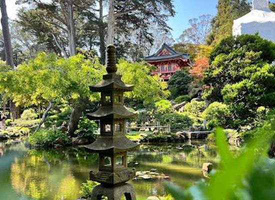 california/castro-valley/attraction/japanese-tea-garden