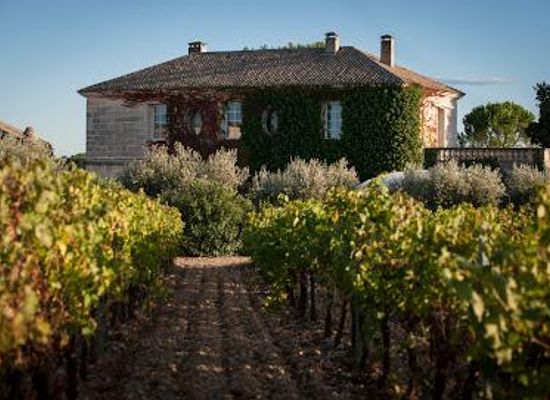 france/languedoc/attraction/chateau-puech-haut