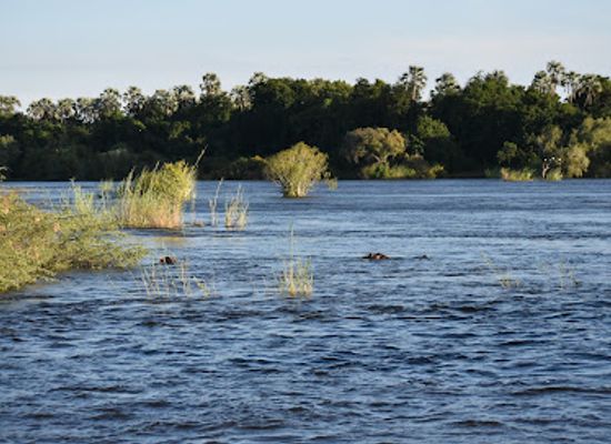 zimbabwe/zambezi-valley/attraction/pure-africa-waterfront