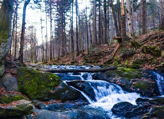 poland/bieszczady-mountains/attraction/szepit-waterfall-on-a-creek-hylaty