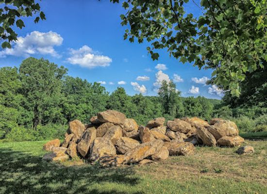 delaware/white-clay-creek-state-park/attraction/middle-run-valley-natural-area
