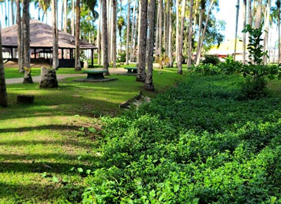 suriname/interior-rainforest/attraction/fort-zeelandia