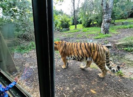 ireland/drogheda/attraction/dublin-zoo