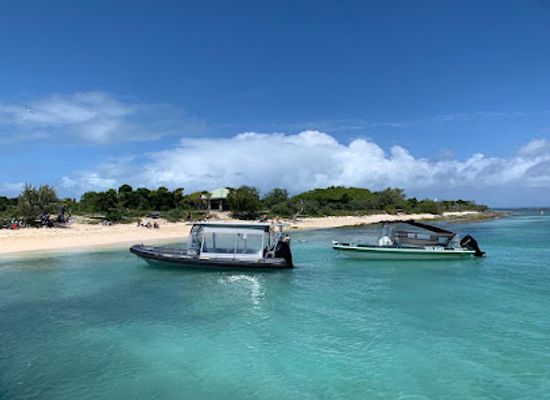 new-caledonia/canala/attraction/noumea-turtle-tour