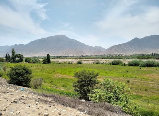peru/north-coast/attraction/sacred-city-of-caral