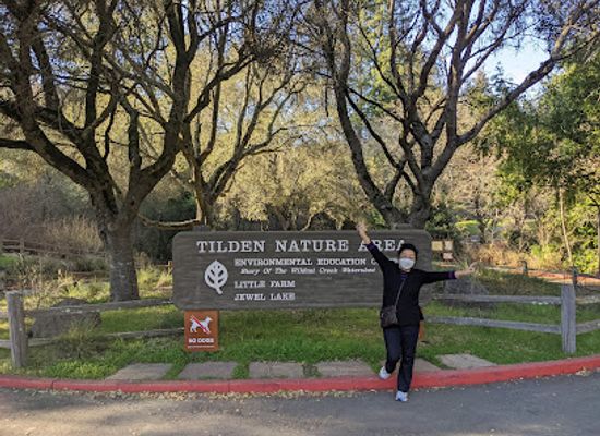 california/berkeley/telegraph-avenue/attraction/tilden-nature-area
