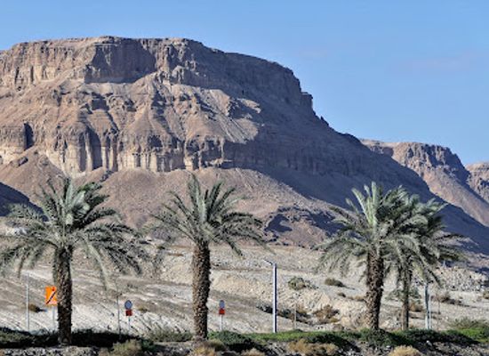 israel/arava/attraction/dead-sea-atvs