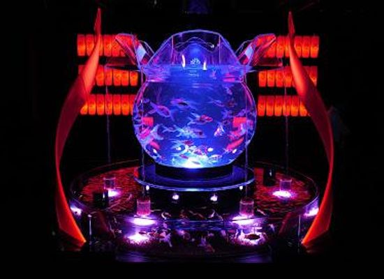 japan/oki/attraction/art-aquarium-museum